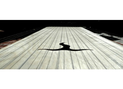 Cinematique Instruments German Monochord