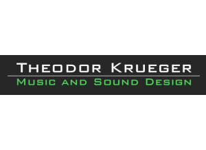 Theodor Krueger TheoK Fender Acoustic Guitar