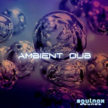 Equinox Sounds Ambient Dub