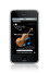 Ask Video Musical Terms App