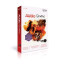 Sony Sound Forge Audio Studio 10