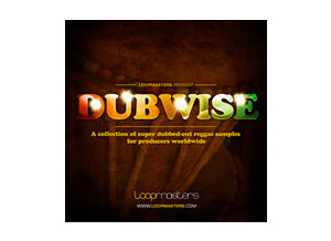 Loopmasters Dubwise