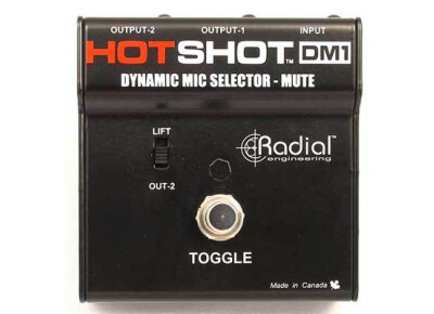 Radial Engineering HotShot DM1