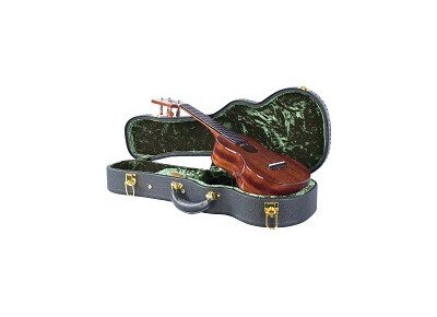 Guardian Cases Vintage Hardshell Case