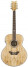 Daisy Rock Spalted Maple Butterfly Jumbo
