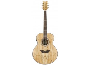 Daisy Rock Spalted Maple Butterfly Jumbo