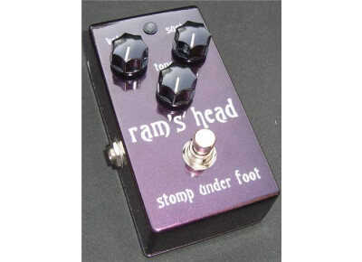 Stomp Under Foot Violet Ram's Head