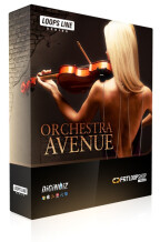 Diginoiz Orchestra Avenue