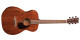 Martin & Co 00-15M