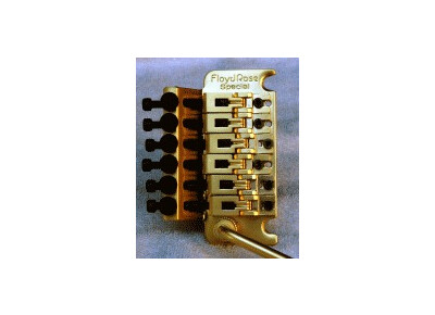 Floyd Rose Special