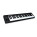 Voir la photo du Alesis Q49 Alesis Q49