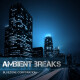 Ambient Breaks disponible chez Bluezone Corporation