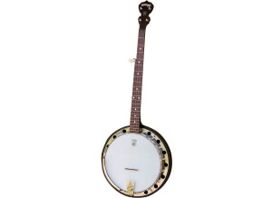 Deering Classic Goodtime Two Banjo