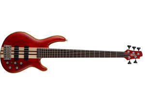 Cort Artisan A5