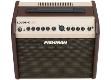 Fishman Loudbox Mini (2010-2018)