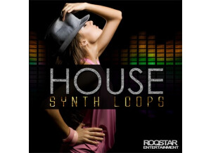 Producer Loops House Synth Loops
