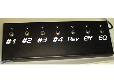 HS Electronik Concept FS77