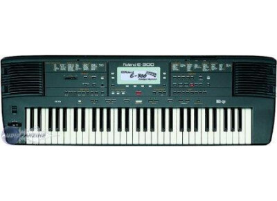 Roland E-300