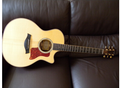 Taylor 714 CE Fall Limited Edition