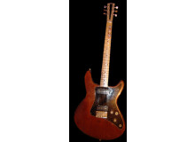 Electrical Guitar Company Custom 500