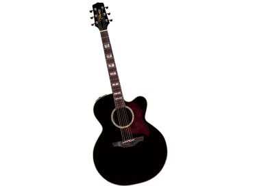 Takamine EG523SCB