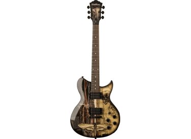 Washburn WI15