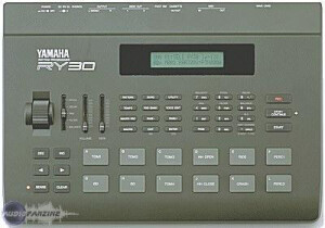 Yamaha RY30