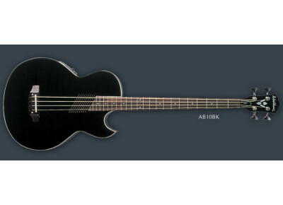 Washburn AB10