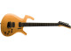 Parker Guitars Fly Select