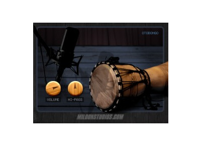 Mildon Studios Otobongo
