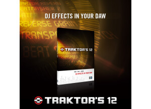 Native Instruments Traktor's 12