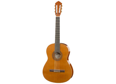 Hofner Guitars HZ 25