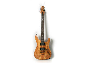 WSL Guitars Equilibrium Spalted