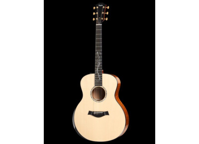 Taylor GS Mahogany-LTD