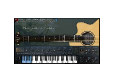 H.E. Audio Poetic Guitar-Rainlotus (PGR)