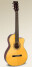 Recording King RP1 et RP2