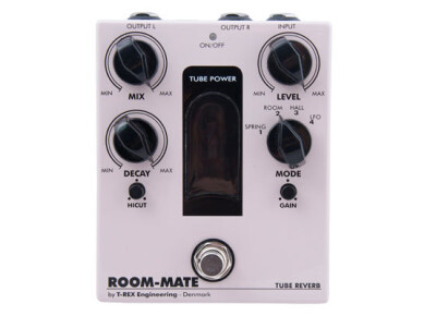 T-Rex Engineering Room-Mate 2
