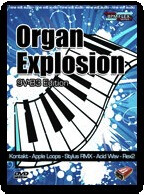 Nine Volt Audio Organ Explosion: 9V-B3 Edition