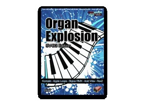 Nine Volt Audio Organ Explosion: 9V-B3 Edition