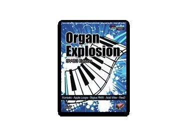 Nine Volt Audio Organ Explosion: 9V-B3 Edition