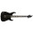 Voir la photo de la Caparison Dellinger II FX-WM Caparison Dellinger II FX-WM