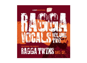 Loopmasters Ragga Twins Vocals Vol2