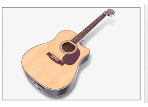 Jammin Pro USB Acoustic 505
