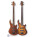 Voir la photo de la Godin BG-5 Bass Godin BG-5 Bass
