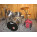 See the photo of the Pearl Forum FZ  5 shells Standard Smokey Chrome Pearl Forum FZ  5 shells Standard Smokey Chrome