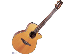 Takamine TAN30C