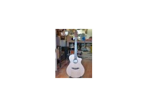 Breedlove C350/CM