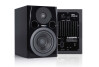 Moniteurs Fostex PM0.5n