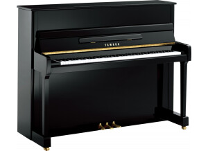 Yamaha P116