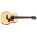Voir la photo de la Taylor  GS Mini Taylor  GS Mini